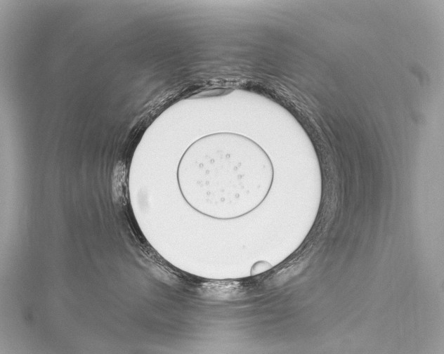 X0000114180480200911191311