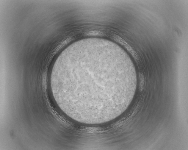 X0000114180482200911191310