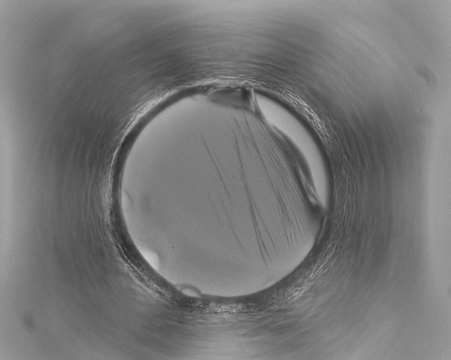 X0000114180484200911191310