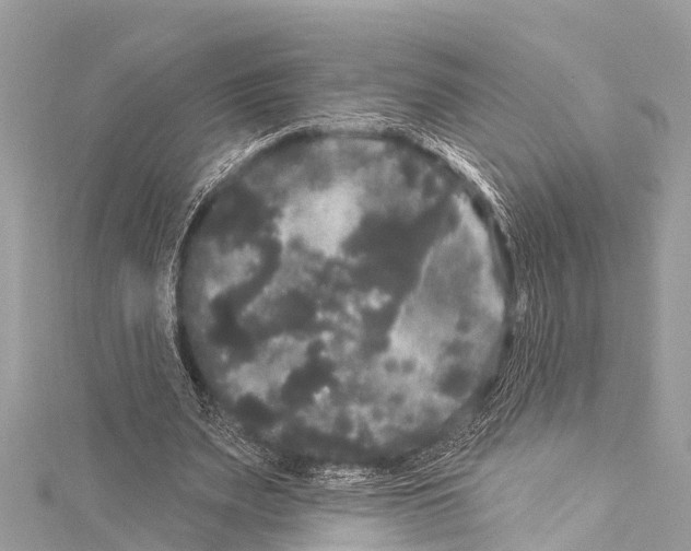 X0000114180487200911191310