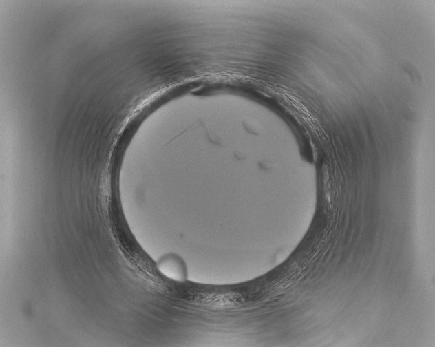 X0000114180488200911191310