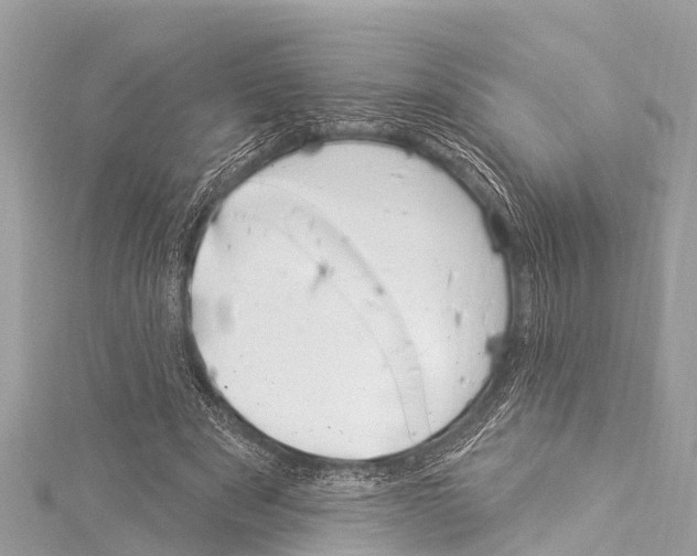 X0000114180489200911191310