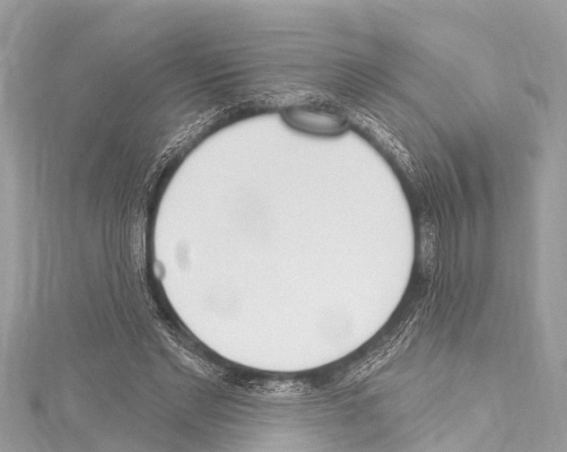 X0000114180493200911191310