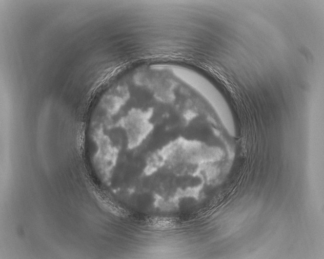 X0000114180495200911191310