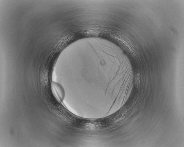 X0000114180504200911191310