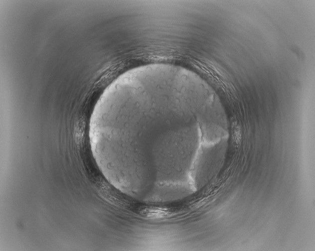 X0000114180507200911191310