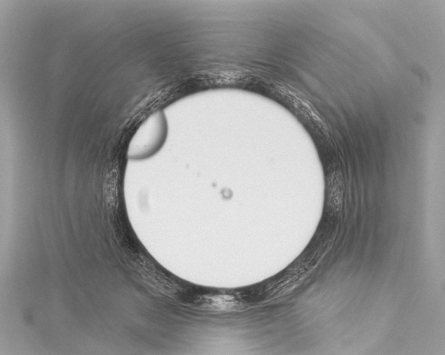 X0000114180509200911191310