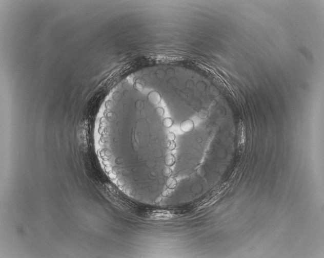 X0000114180519200911191310