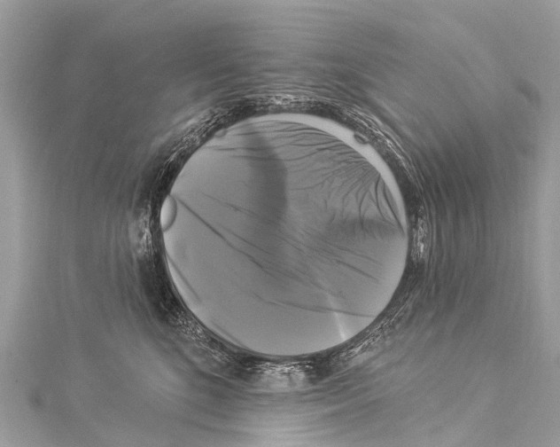 X0000114180520200911191310