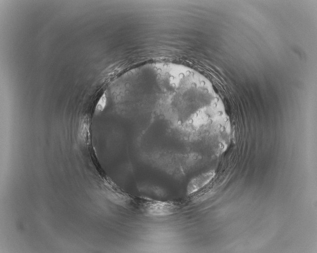 X0000114180527200911191310