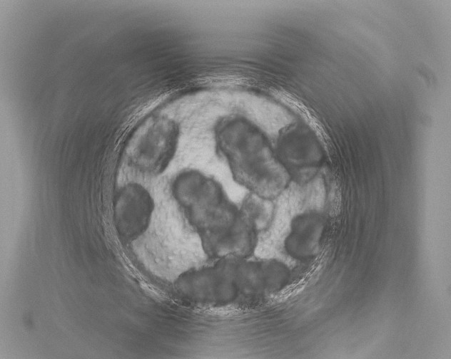 X0000114180529200911191309