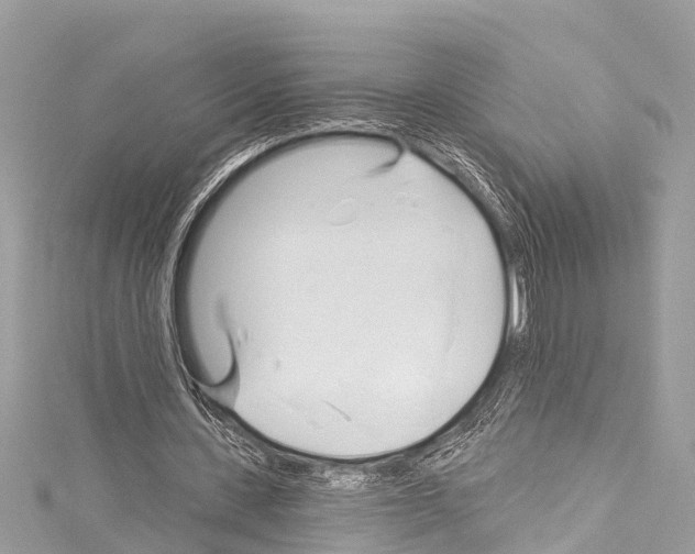 X0000114180531200911191309