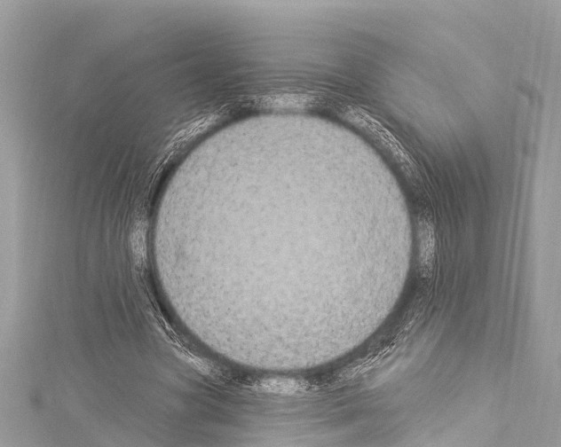 X0000114180537200911191309