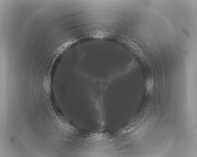 X0000114180540200911191309