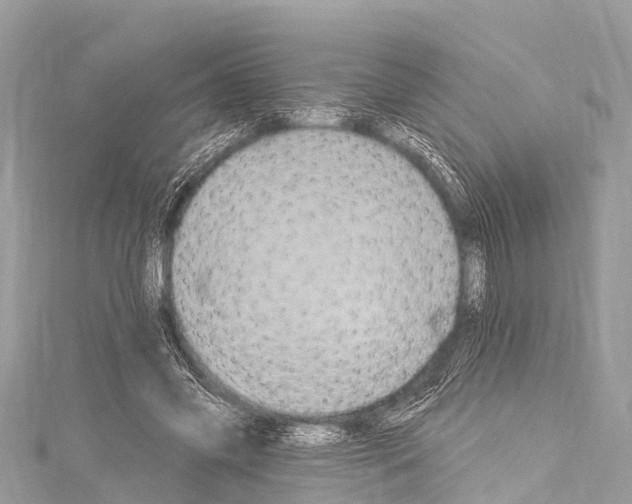 X0000114180541200911191309