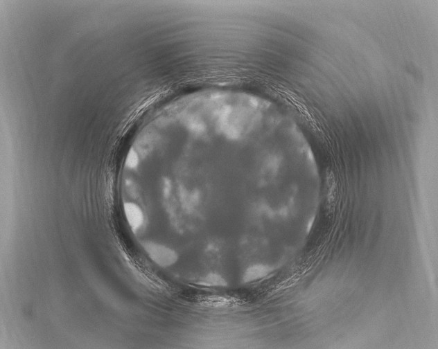 X0000114180542200911191309