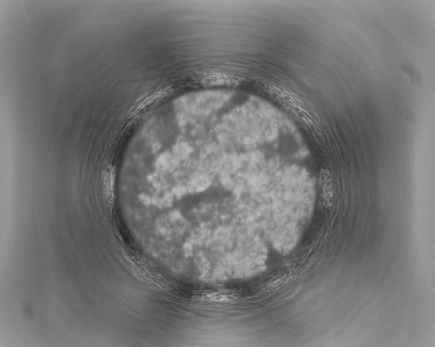 X0000114180550200911191309