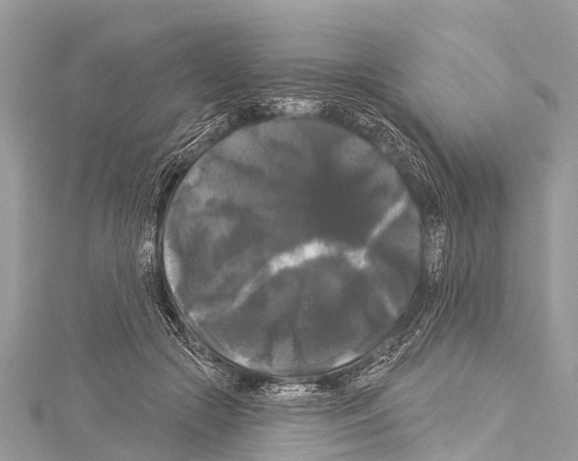 X0000114180553200911191310