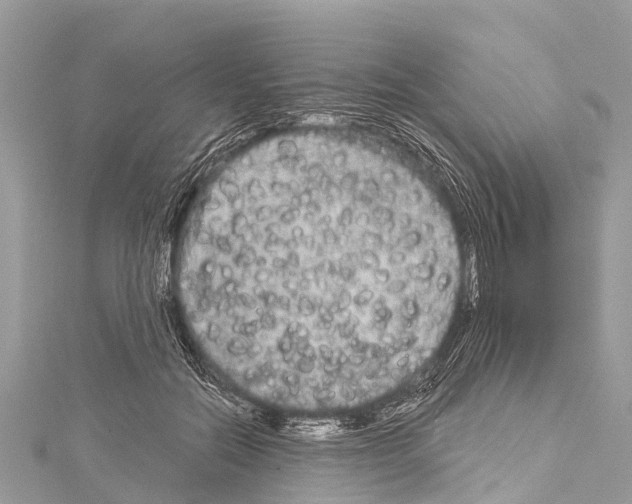 X0000114180554200911191310