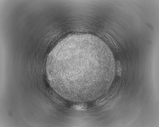 X0000114180563200911191310