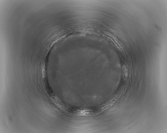 X0000114180564200911191310