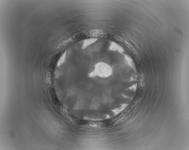 X0000114180569200911191310