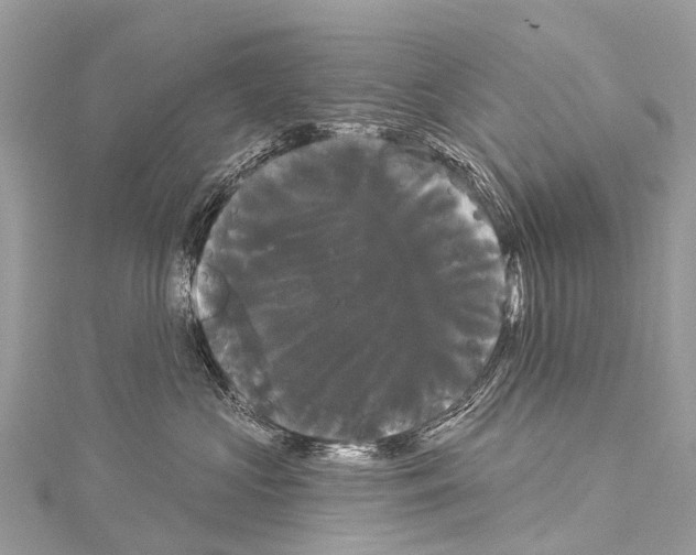 X0000114180573200911191310