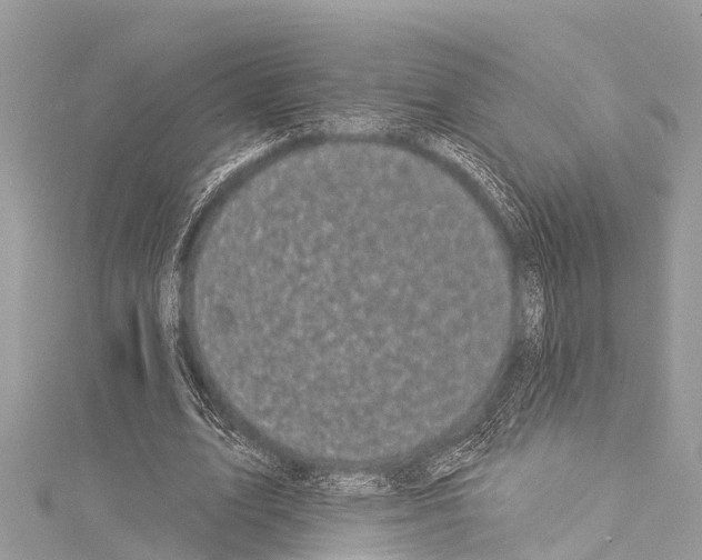 X0000114180583200911191309