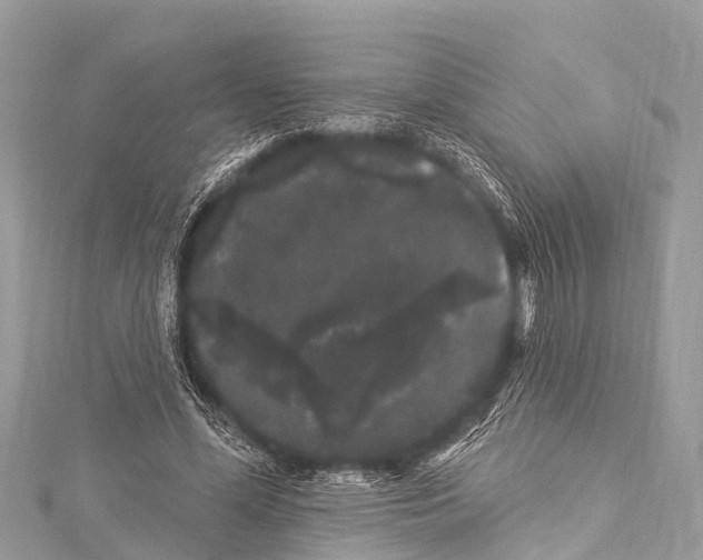 X0000114180588200911191309