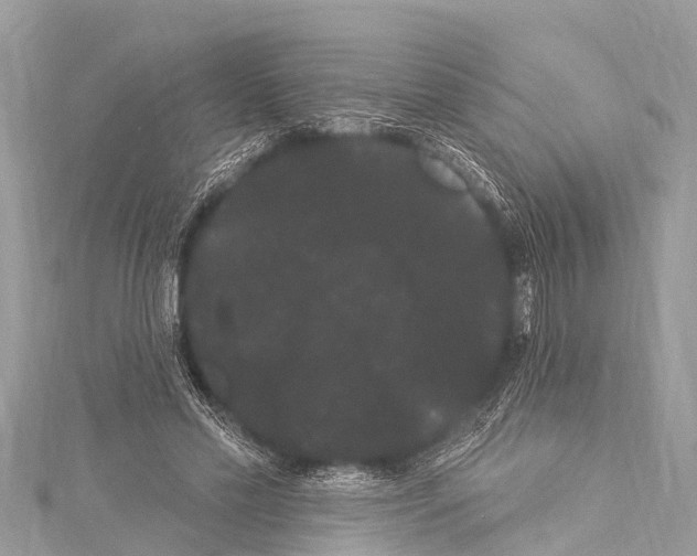 X0000114180589200911191309