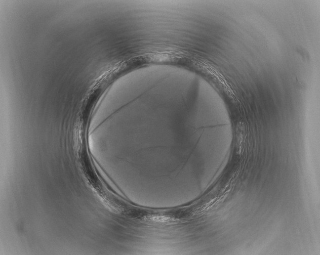 X0000114180590200911191309