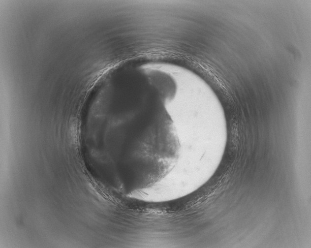 X0000114180592200911191309