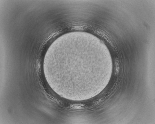 X0000114180595200911191309