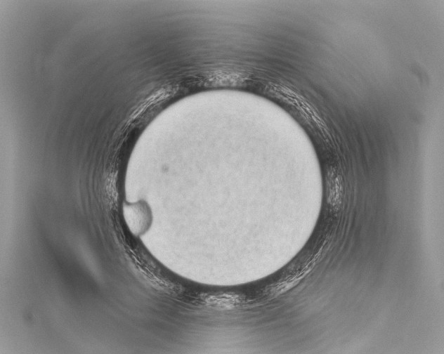 X0000114180599200911191309