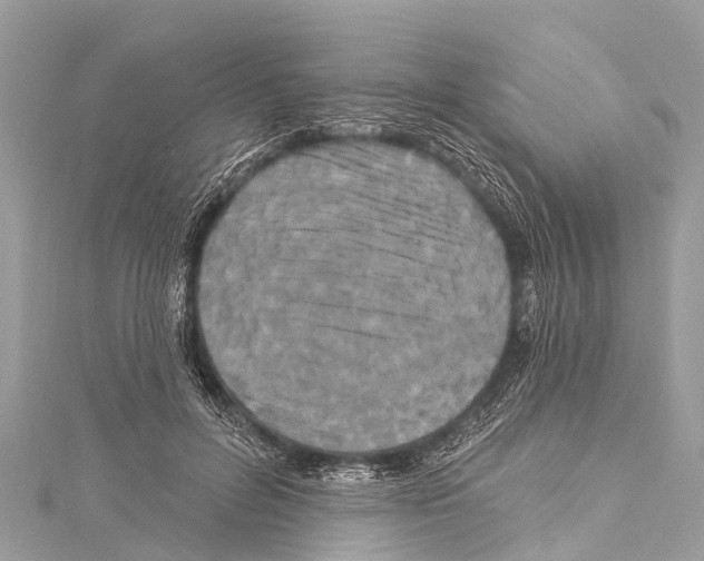 X0000114180600200911191309