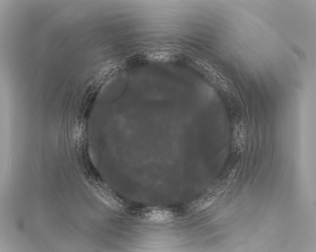 X0000114180601200911191309