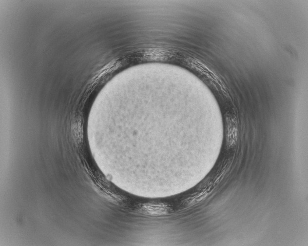 X0000114180603200911191309