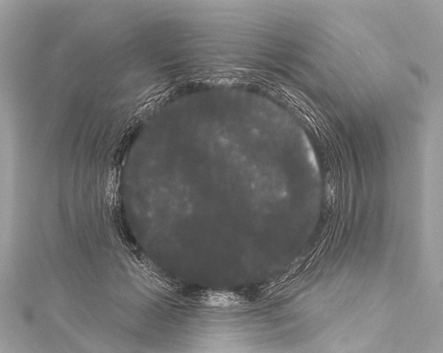 X0000114180605200911191309