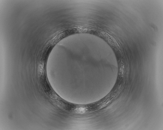 X0000114180610200911191309