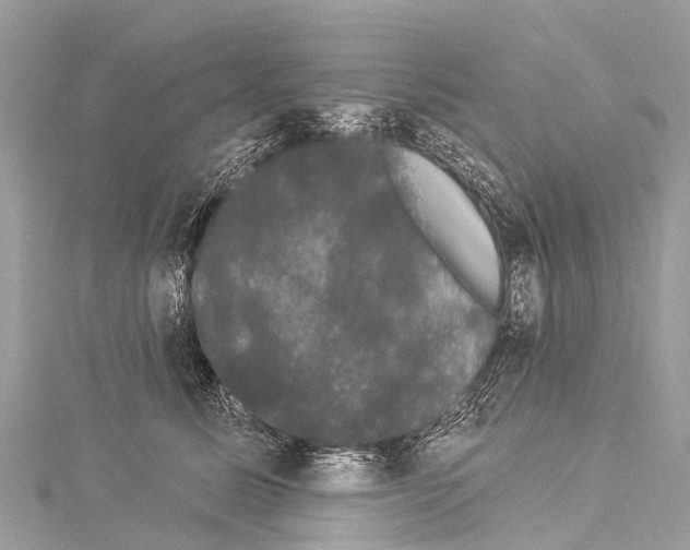 X0000114180611200911191309