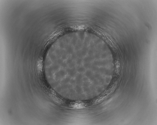 X0000114180612200911191309