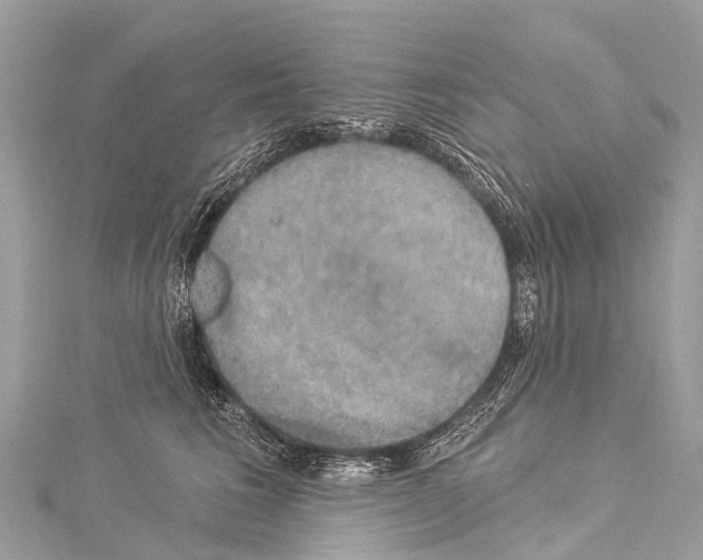 X0000114180613200911191309