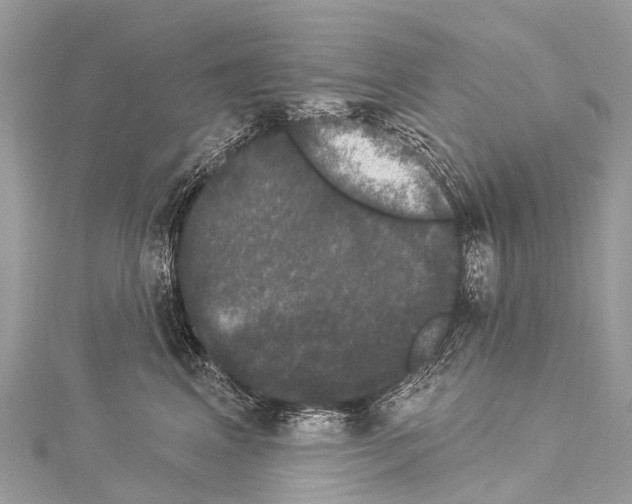 X0000114180617200911191309