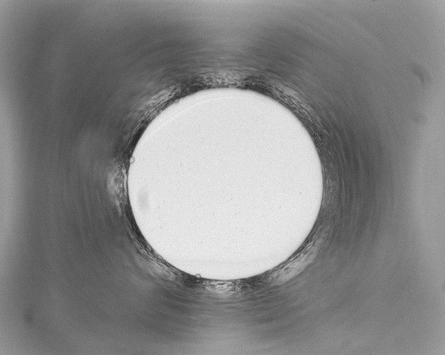 X0000114180624200911191309