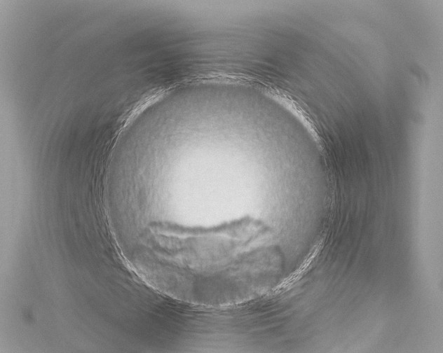 X0000114180625200911191308