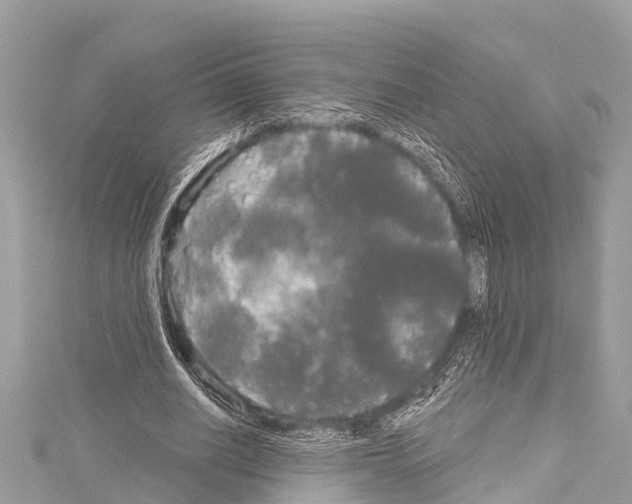 X0000114180630200911191308