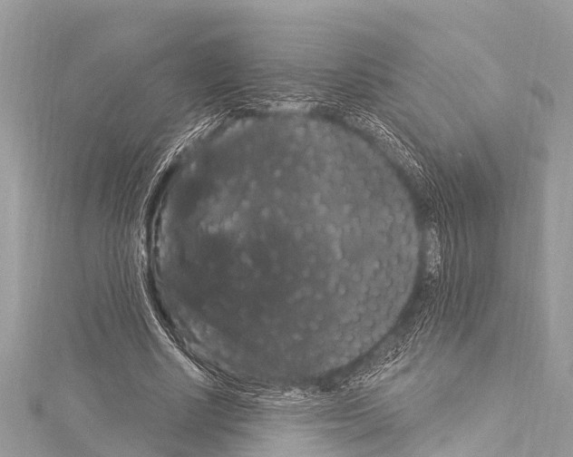 X0000114180634200911191308