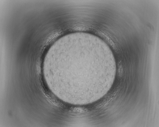 X0000114180635200911191308