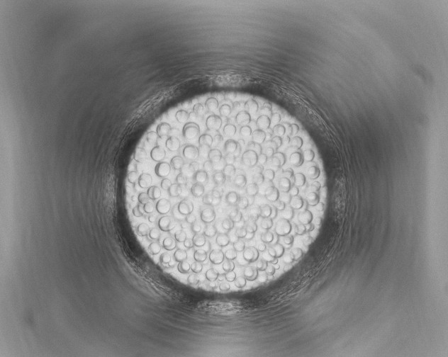 X0000114180639200911191308