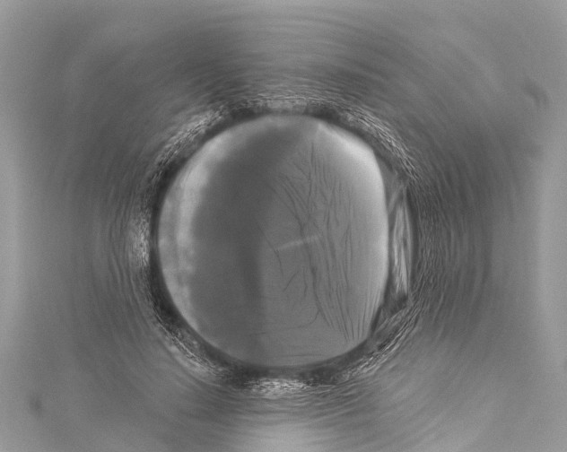 X0000114180644200911191308